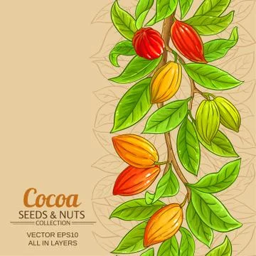 Cocoa vector background Stock Illustration