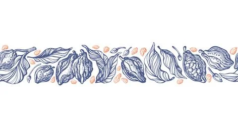 Cocoa vector border. Drawing seamless background Stock Illustration