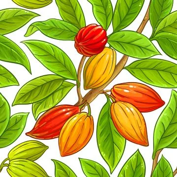 Cocoa vector pattern Stock Illustration