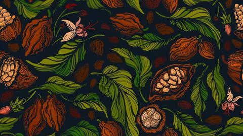 Cocoa vector seamless pattern Dark chocolate, food Stock Illustration
