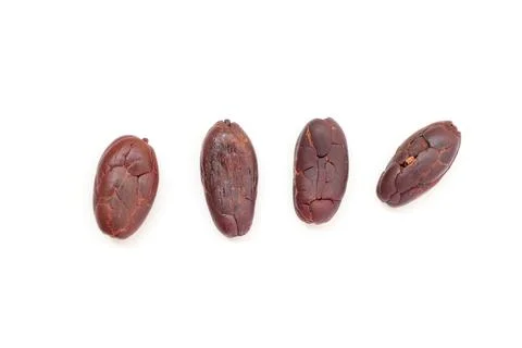 Cocoa on white background Фото