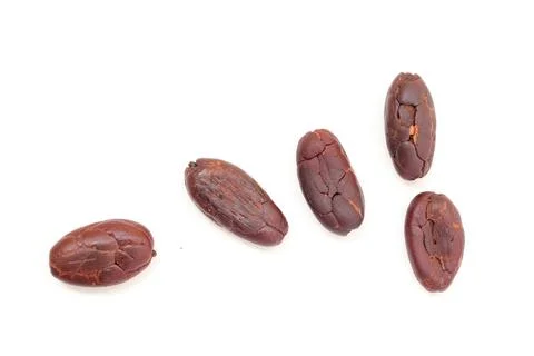 Cocoa on white background 스톡 사진