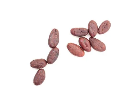 Cocoa on white background 스톡 사진