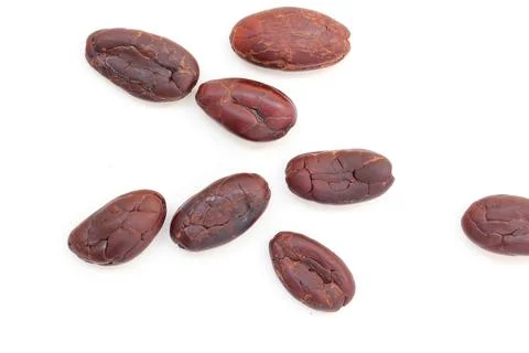 Cocoa on white background Stock Photos