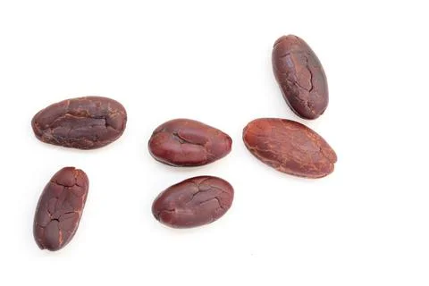 Cocoa on white background Stock Photos