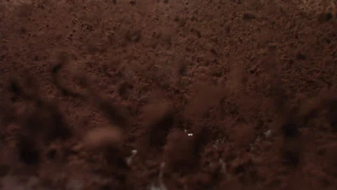 Cocoabeans1 Stock Footage 143152238