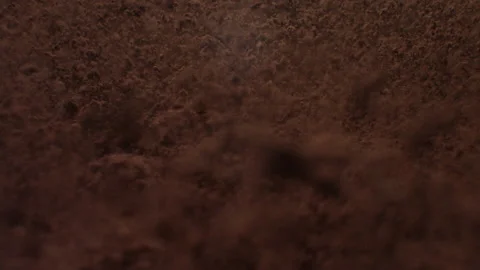 Cocoabeans2 Stock Footage 143152303