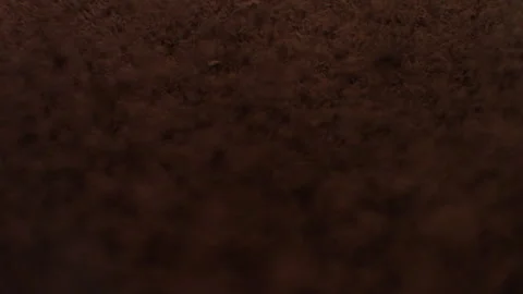 Cocoabeans3 Stock Footage 143152348