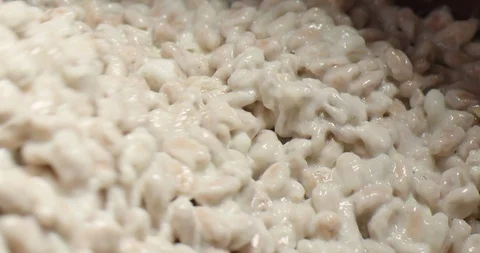 Cocoa's pulp Video stock 125080988