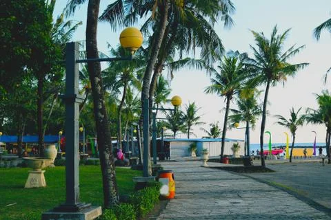 COCONAT TREE Stock Photos