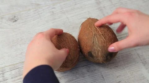 COCONUT 10 Stock Footage 155549978