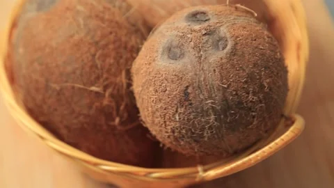 COCONUT 2 Stock Footage 155549961