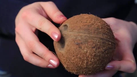 COCONUT 4 Stock Footage 155549965