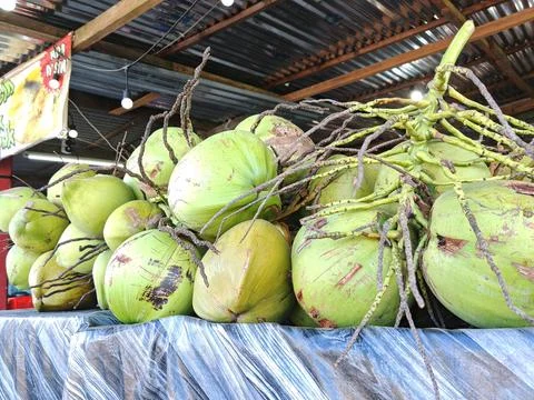 Coconut (4) Stock Photos