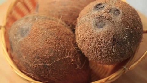 COCONUT 5 Stock Footage 155549966