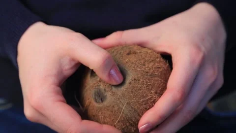 COCONUT 6 Stock Footage 155549971