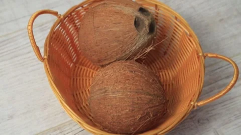 COCONUT 7 Stock Footage 155549968
