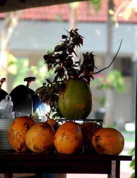 Coconut 7 Foto stock