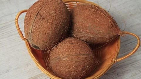 COCONUT 8 Stock Footage 155549973