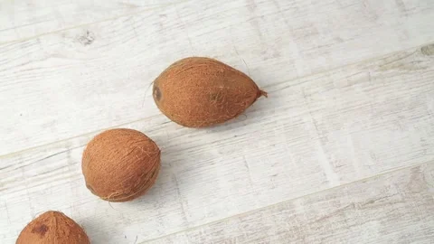 COCONUT 9 Stock Footage 155549970