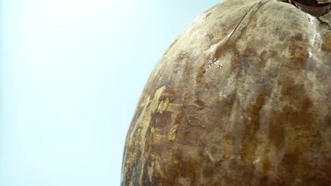 Coconut and brown shell with close up skin. Stock Footage 124024605