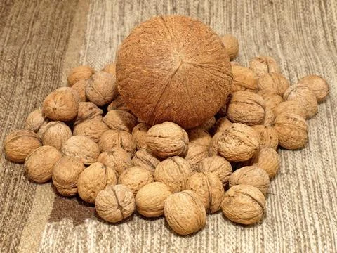Coconut and calnuts.background. Stock Photos