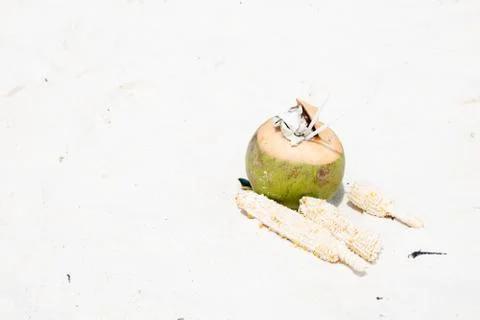 Coconut and corn, garbage on a beach Stock Photos