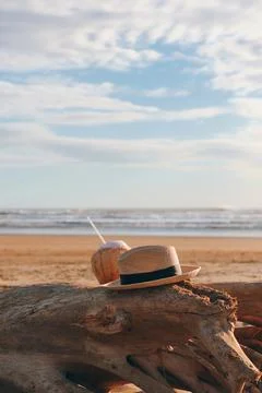 Coconut and hat on a tree trunk on the beach. tropical concept Stock Photos