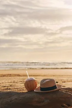 Coconut and hat on a tree trunk on the beach on a summer day Stock Photos