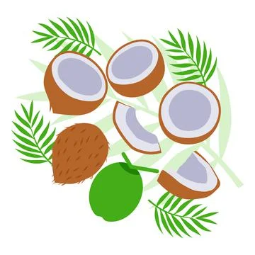 Coconut and leaves elements abstract vector design background Stock Illustration