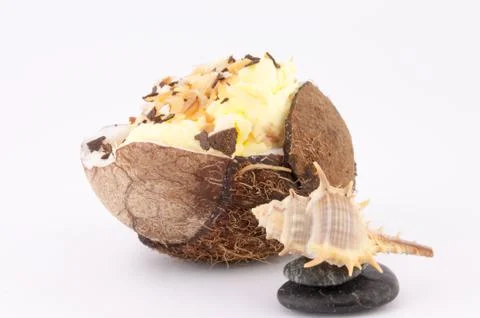 Coconut and shells Stock Photos