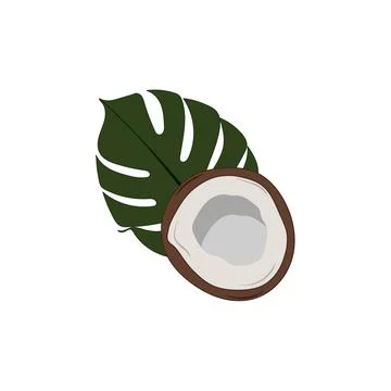 Coconut and tropical leaf.Cut in half summer fruit Stock Illustration