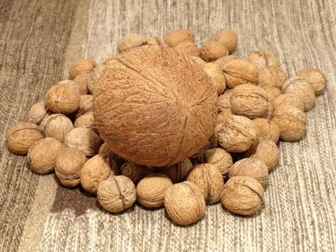 Coconut and walnuts.background. Stock Photos