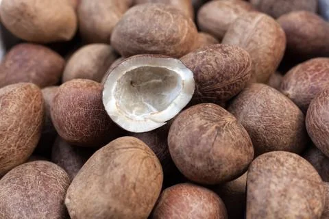 Coconut background Stock Photos