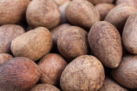 Coconut background Stock Photos