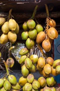 Coconut background Stock Photos
