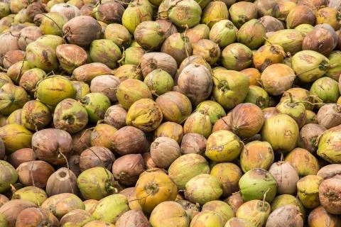 Coconut background Foto stock