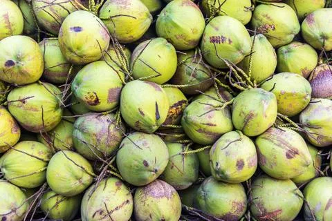 Coconut background Stock Photos