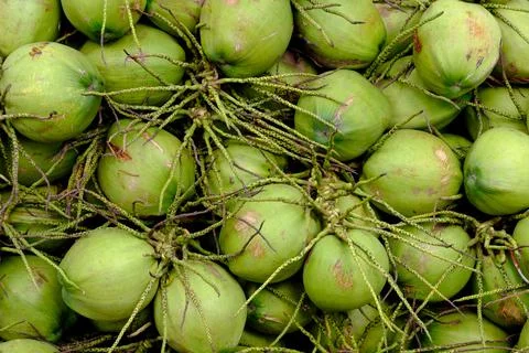 Coconut background Stock Photos