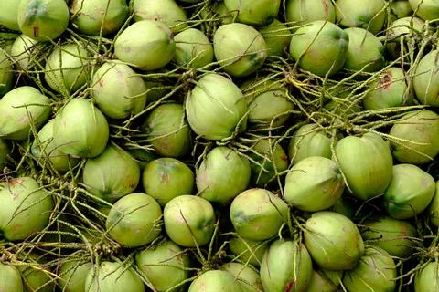 Coconut background Stock Photos