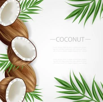 Coconut background Vector realistic. Layout template tropic exotic cards Stock Illustration
