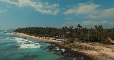 Coconut beach fly Video stock 73217952