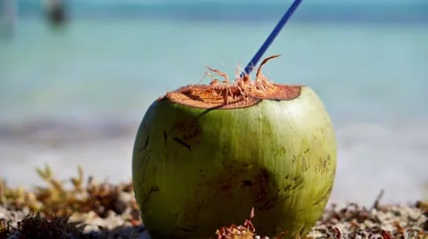 Coconut on the beach Stock Footage 47784577