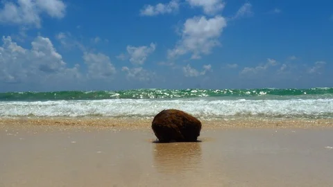 Coconut at the beach Stock Footage 94712290