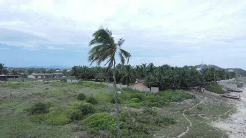 COCONUT BEACH Stock Footage 156720486