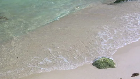 Coconut on the Beach Stock Footage 327892077