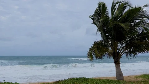 Coconut Beach at Karon Beach, Phuket, Thailand Stock-Footage 92203010
