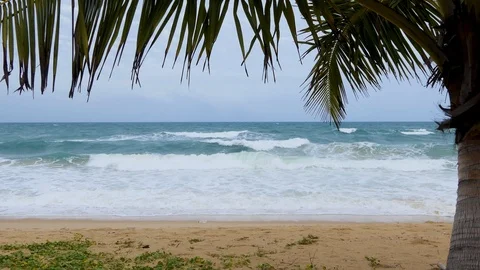 Coconut Beach at Karon Beach, Phuket, Thailand 库存影片 92580667