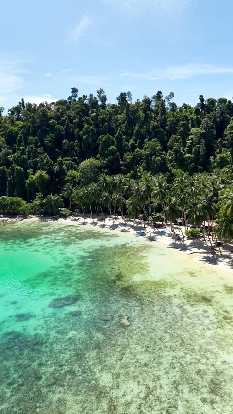 Coconut Beach Philippines Stock Footage 345011711