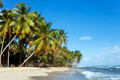 Coconut beach Stock Photos